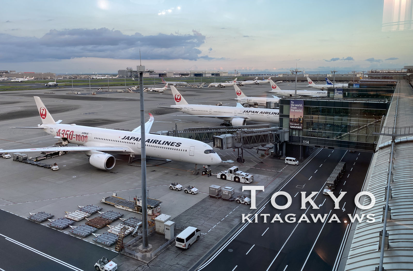 羽田空港 JAL 国際線