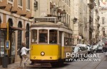 ポルトガル リスボン バス 市電 トラム