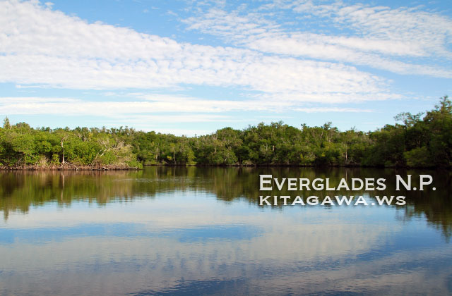 エバーグレーズ国立公園 Everglades National Park