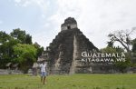 ティカル遺跡観光 グアテマラ旅行記
