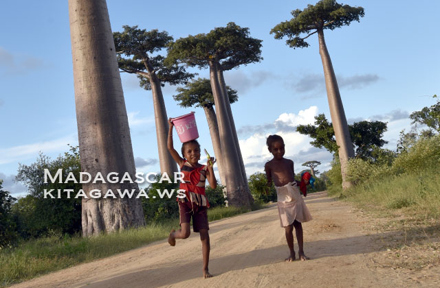 マダガスカル旅行記ブログ