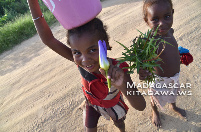 マダガスカル旅行記ブログ
