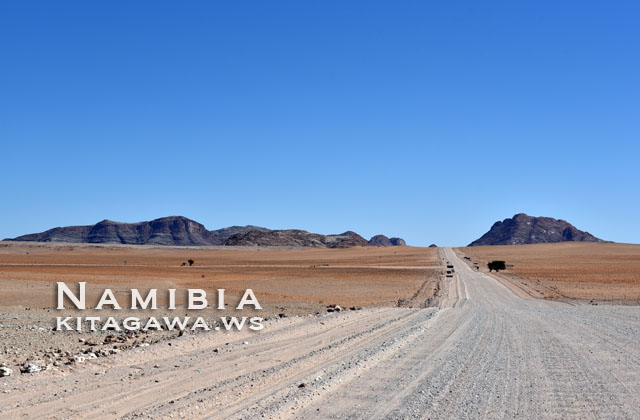 ナミビア 旅行 レンタカー