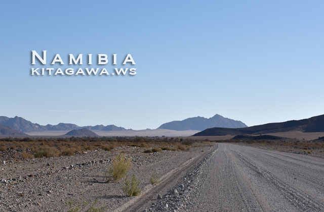 ナミビア旅行記ブログ