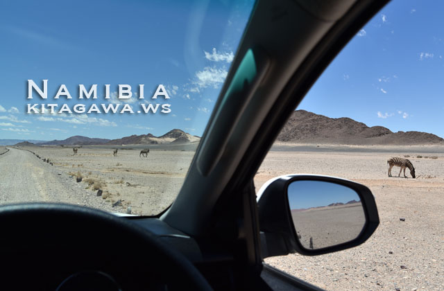 ナミブ砂漠 車 旅行ブログ