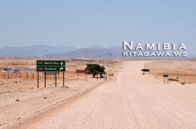 ナミビア ドライブ