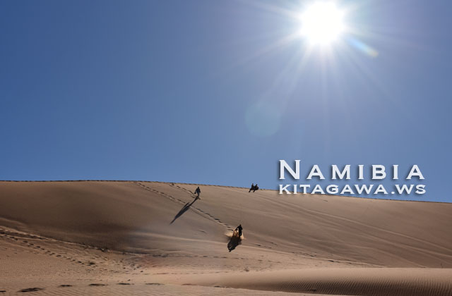 ナミブ砂漠 旅行記ブログ