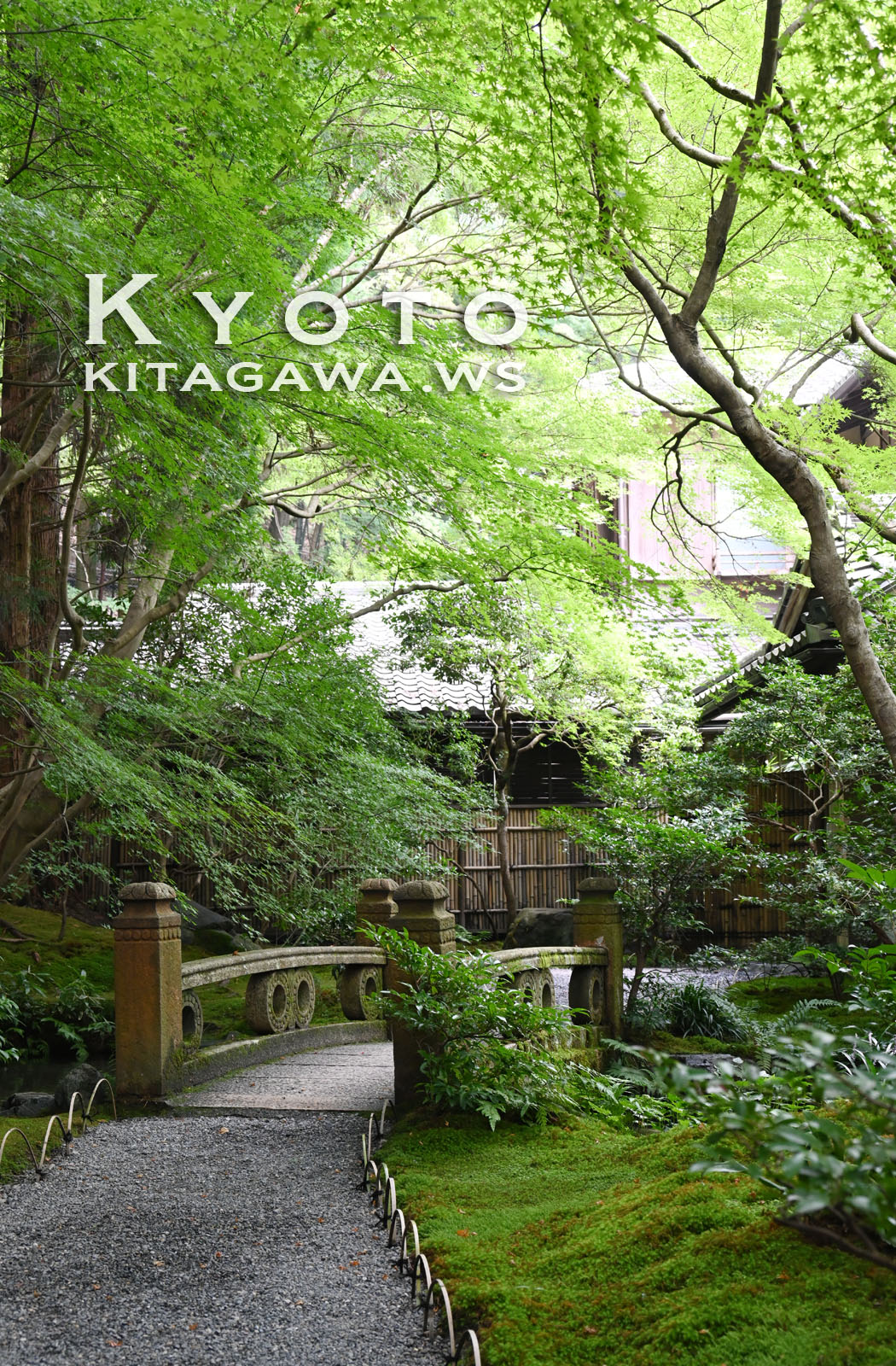 京都旅行記
