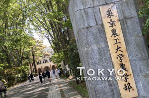 東京農工大学農学部