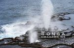 ホウマの潮吹き穴 Mapu’a Vaea Blowholes（トンガ王国）