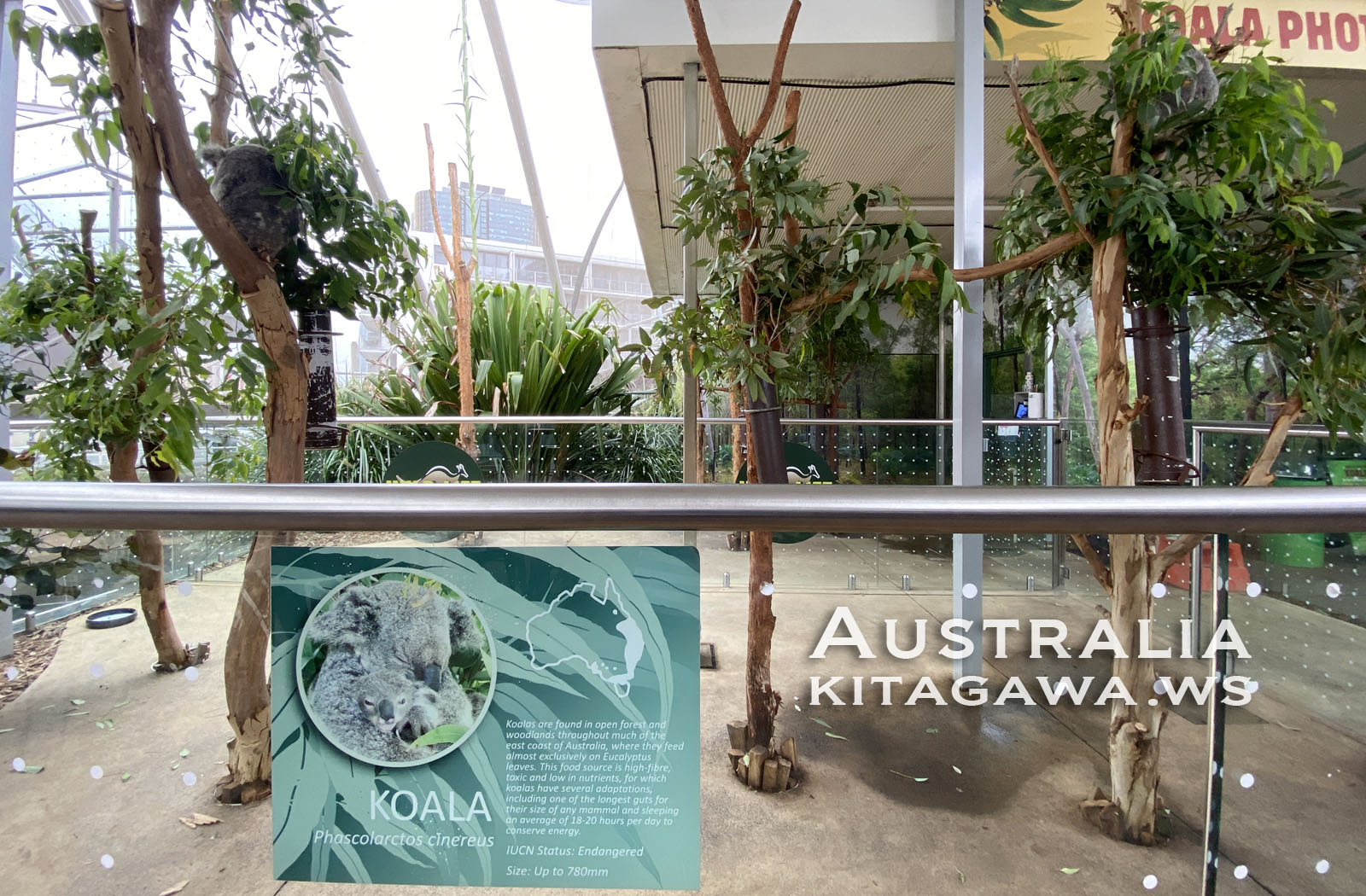 ワイルドライフシドニー動物園