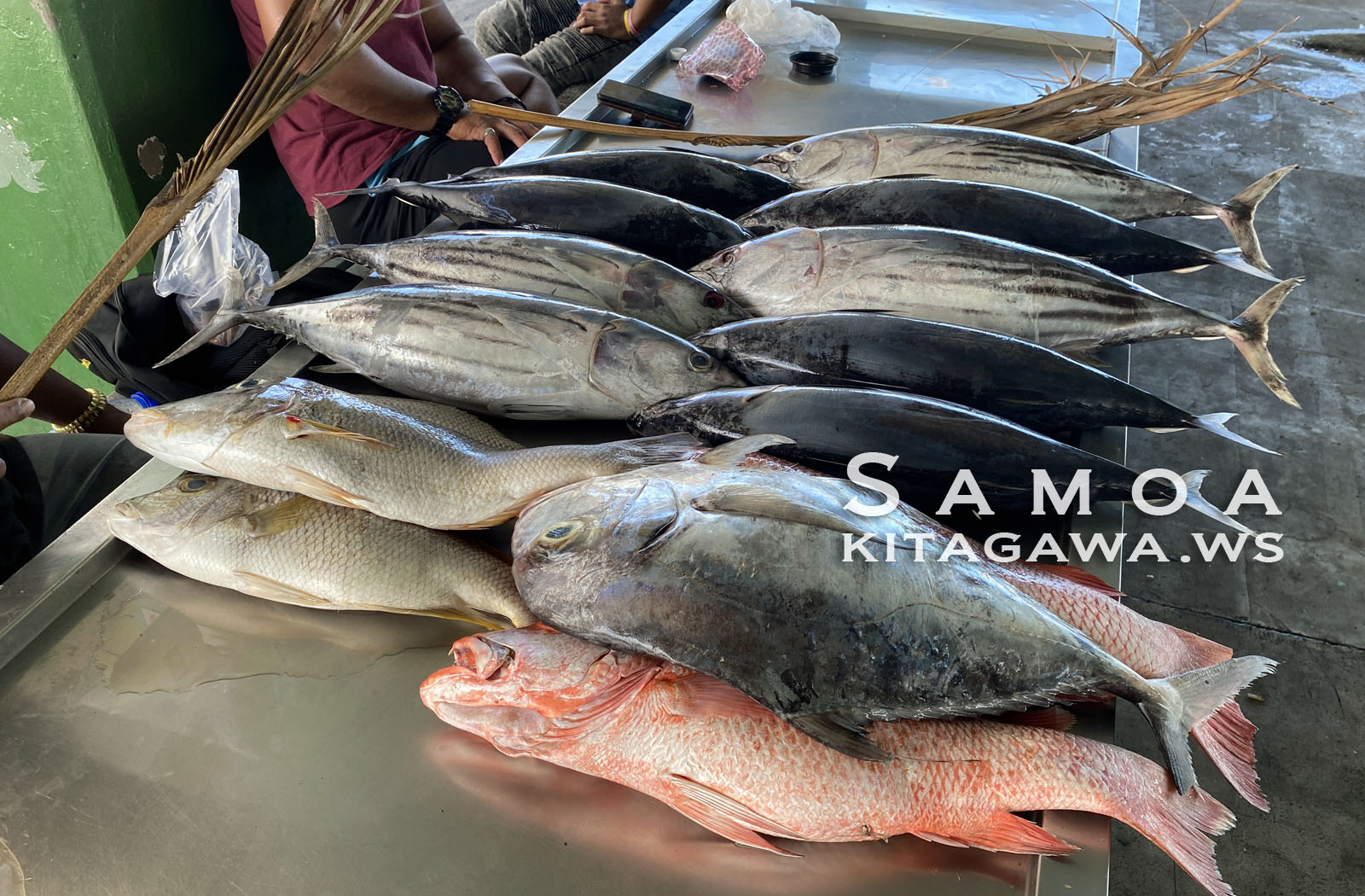 アピア魚市場 Apia Fish Market