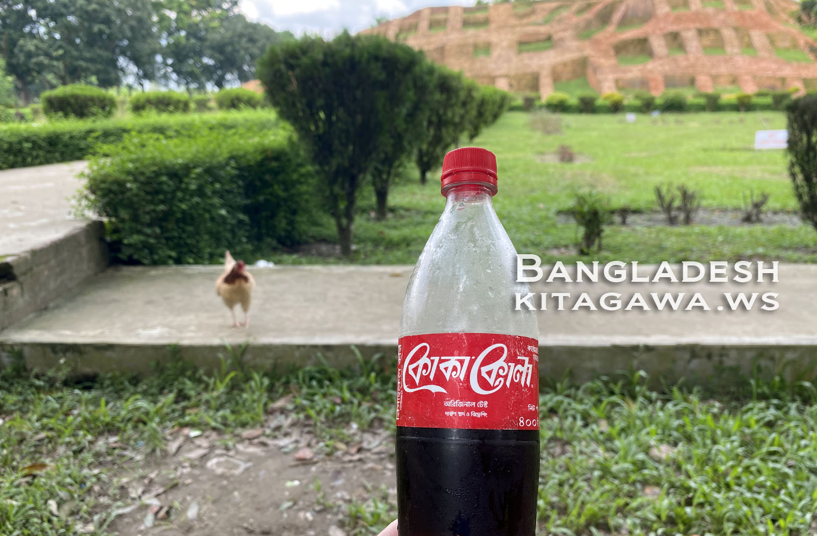 バングラデシュ コーラ