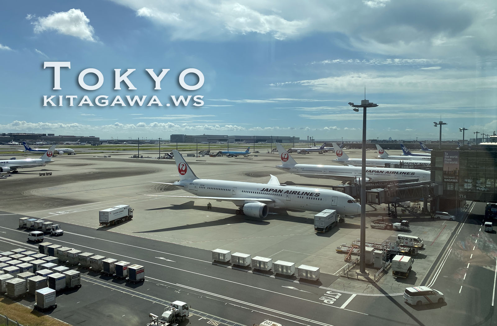 JAL 羽田空港