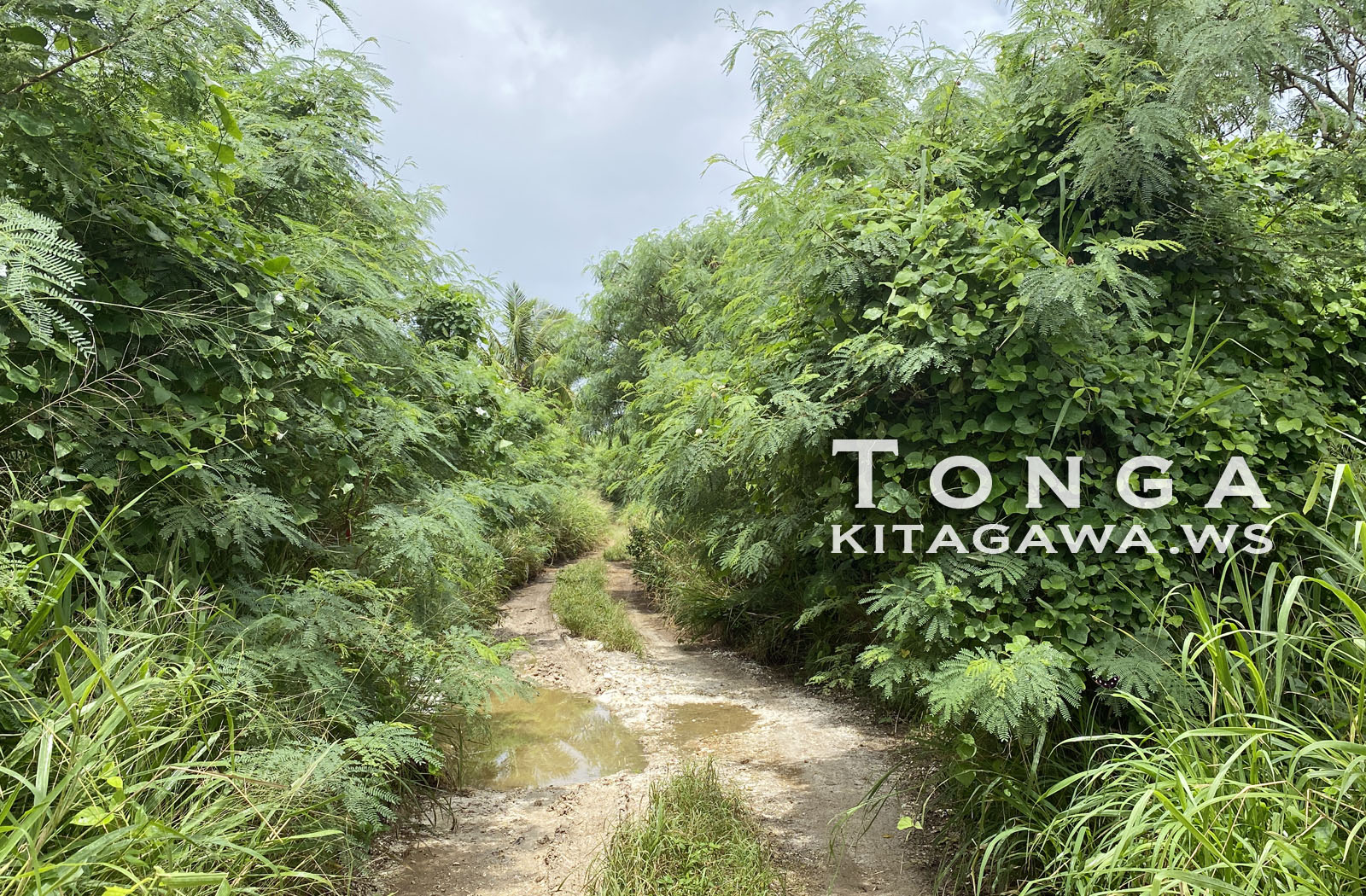 Hufangalupe フファンガルベ