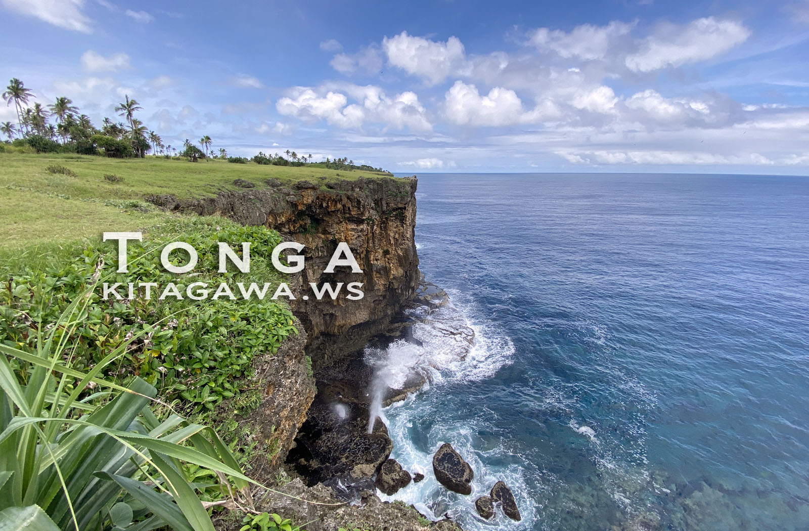 Tonga Natural Bridge トンガ旅行記トンガタプ島観光